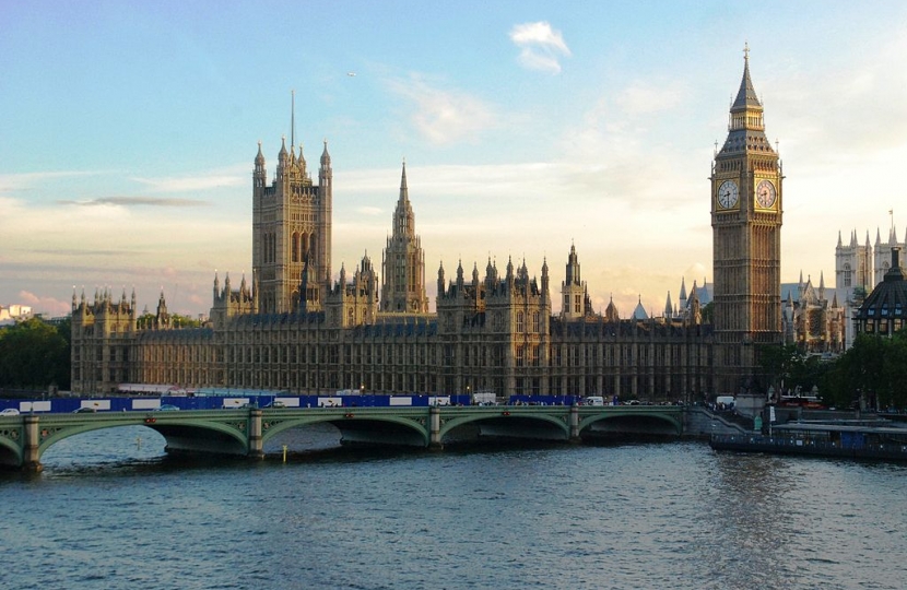 UK Parliament image