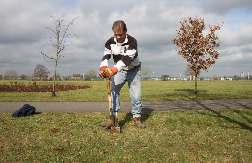 Mark Pawsey helps with planting of trees at Cawston
